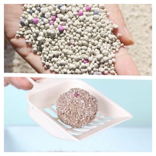 High Quality Bentonite Cat Litter Products From China Factory